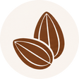 Premium roasted almonds